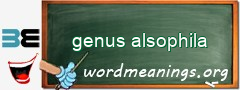 WordMeaning blackboard for genus alsophila